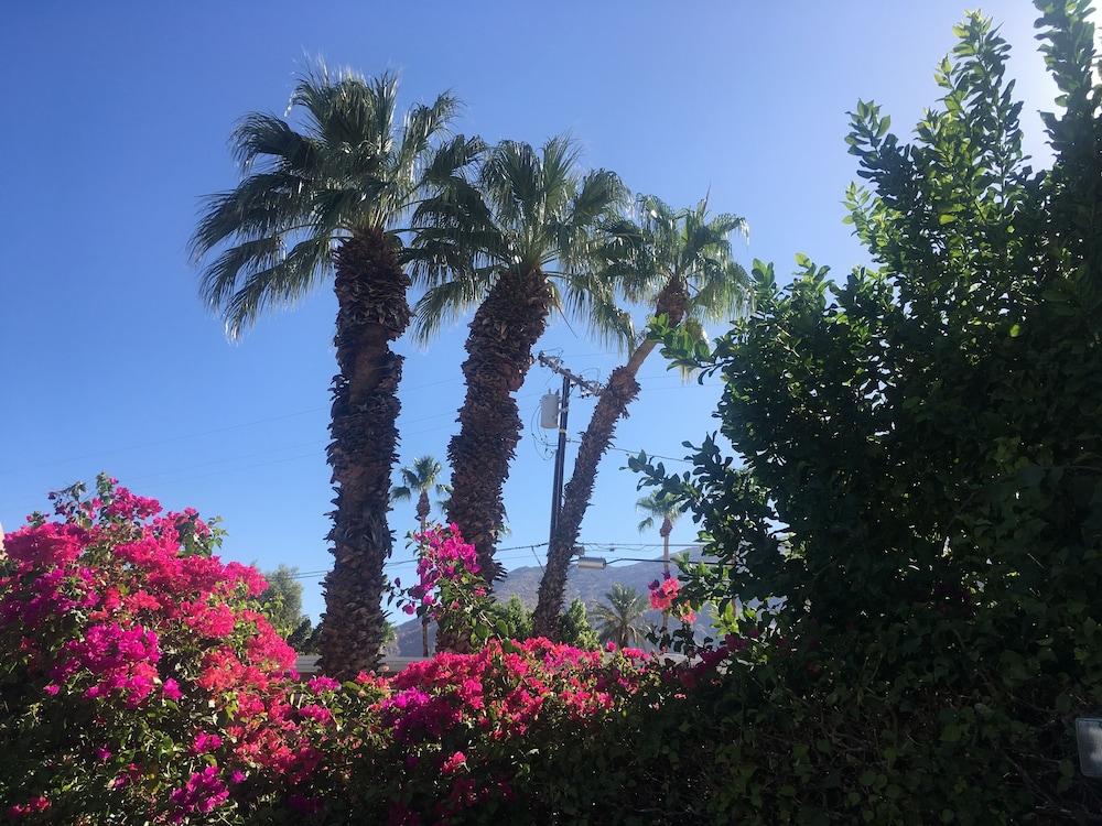 Inn At Παλμ Σπρινγκς Εξωτερικό φωτογραφία